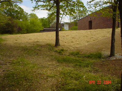 DSC00819