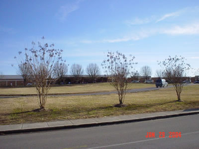 DSC00739