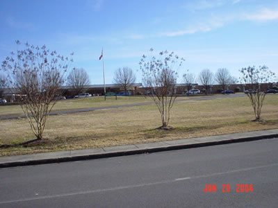 DSC00740